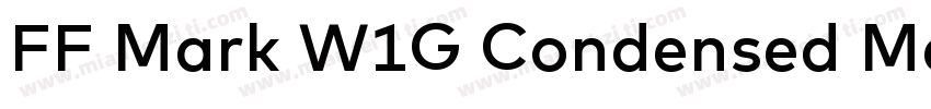 FF Mark W1G Condensed Medium字体转换